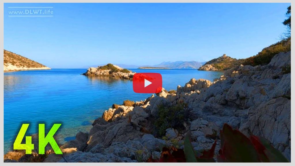 4K Calming Sea Sound near an Islet after Sunrise on a Nice Day / Sound of Water, Birds, Bee