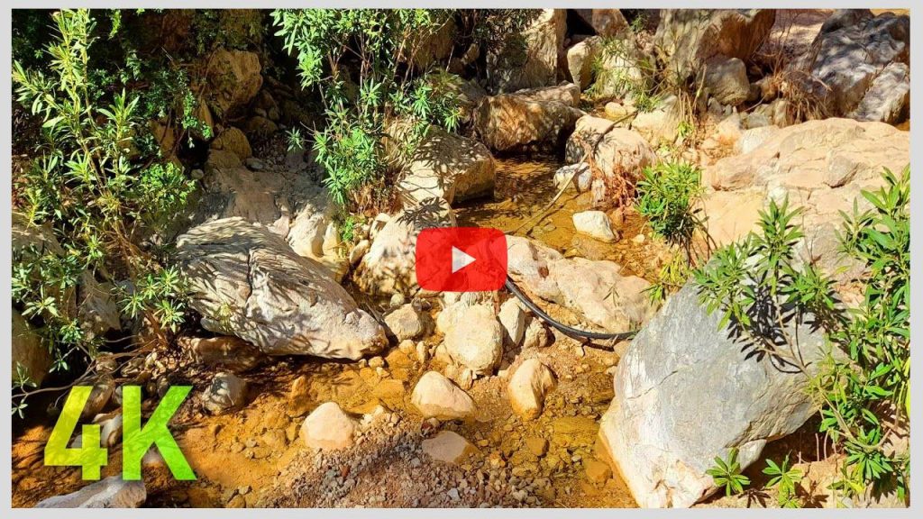 4K Calming Sound of a River and Water Trickling to Sleep, Relax, Meditate, and Relieve Stress Deeply
