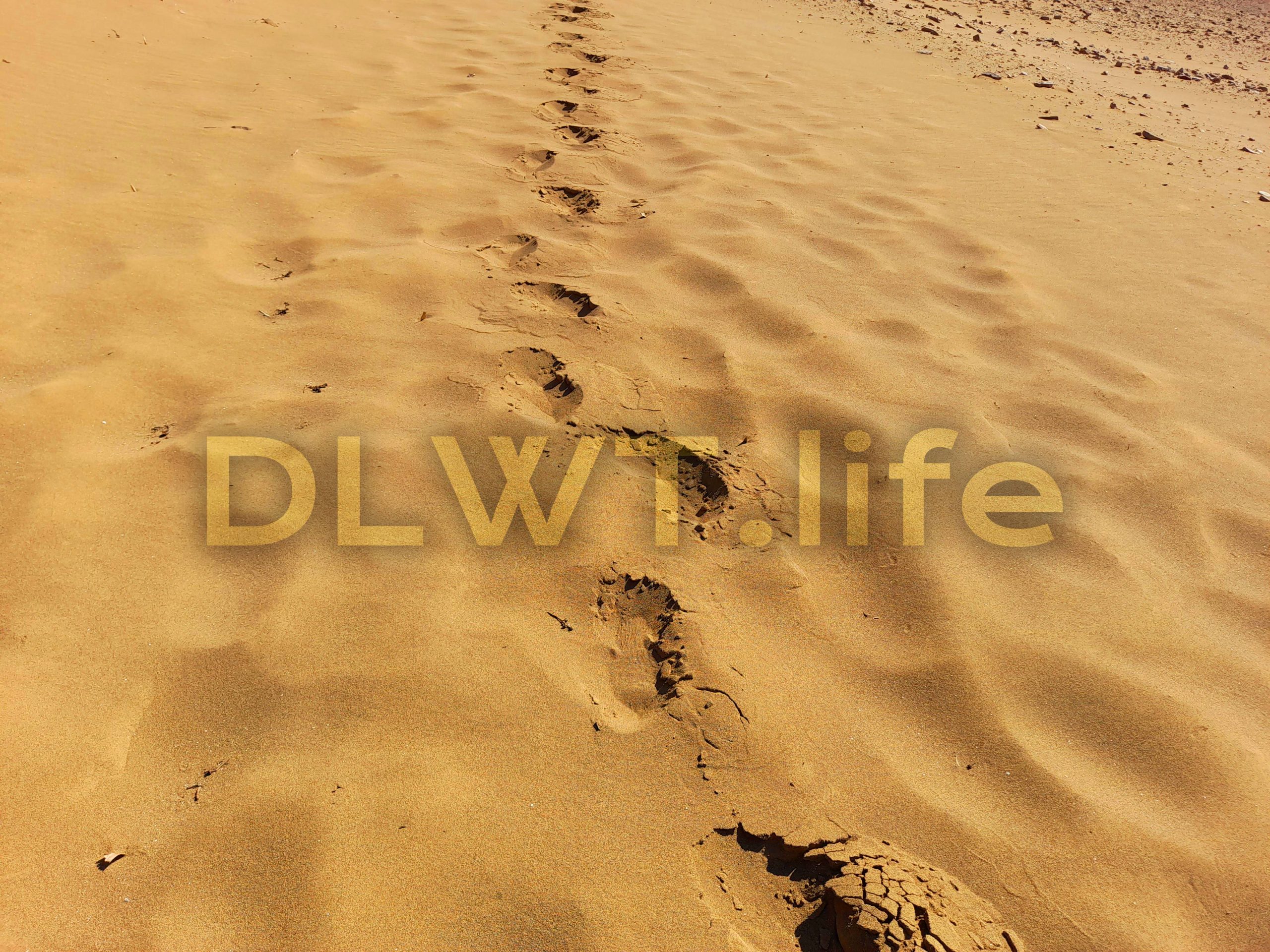 Sand dunes (Ammothines of Lemnos (Desert of Lemnos))