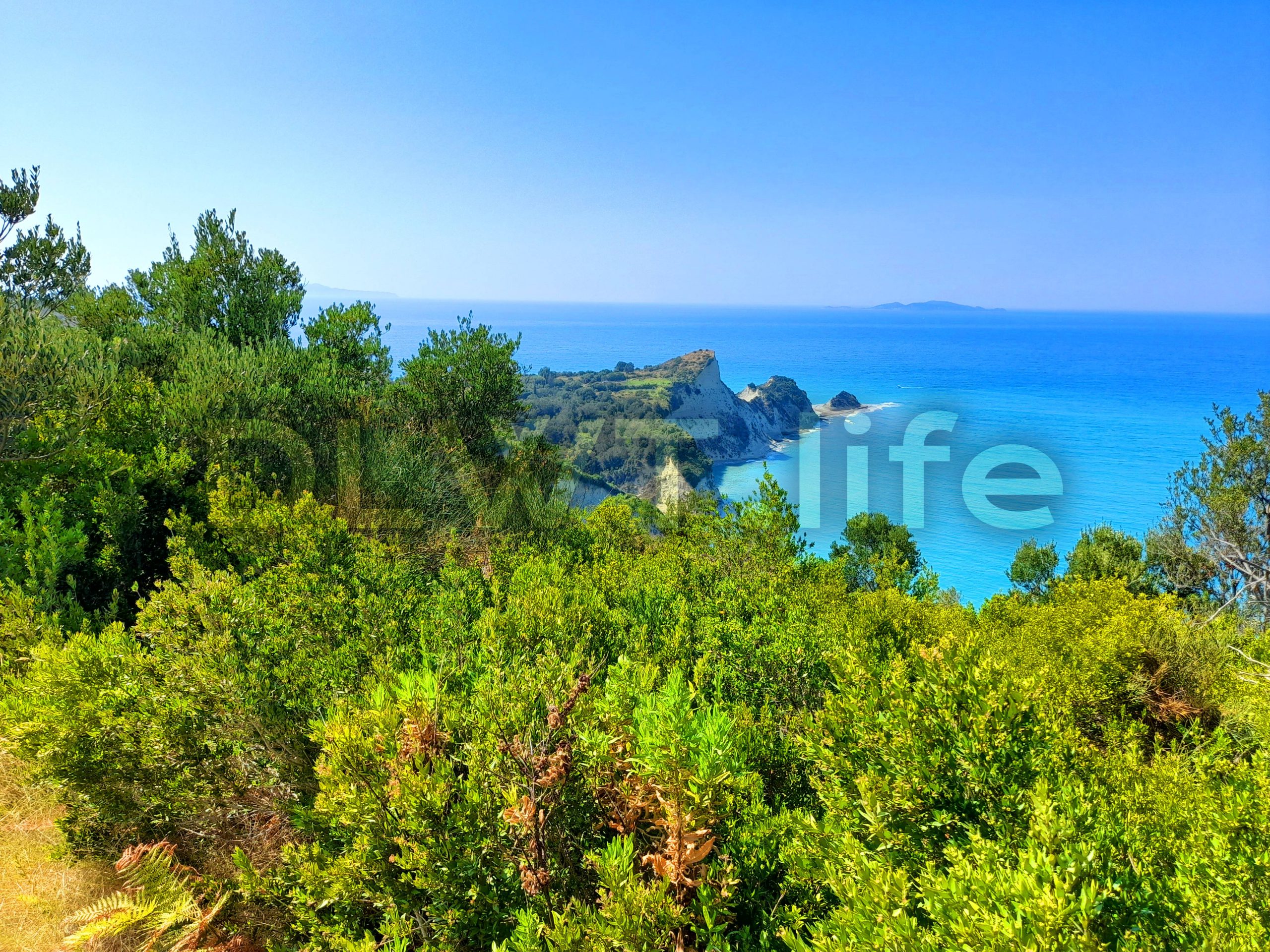 Forests of Corfu
